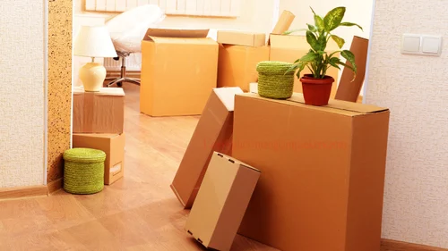 Home Removal